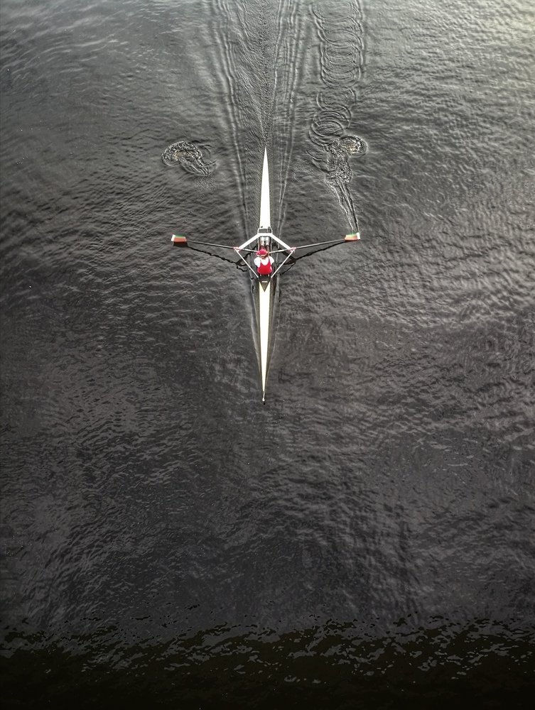 Water strider / Водомерка