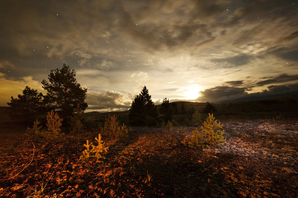 Фотография автора Лариса Кисурина