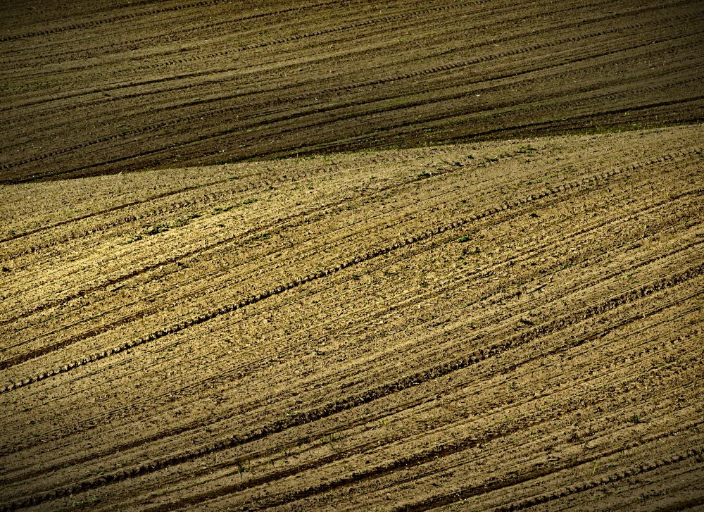 Zagajica Hill Furrows