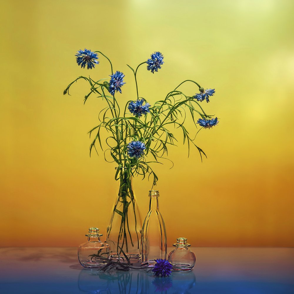 Photograph by MVO (Марк Орлов)