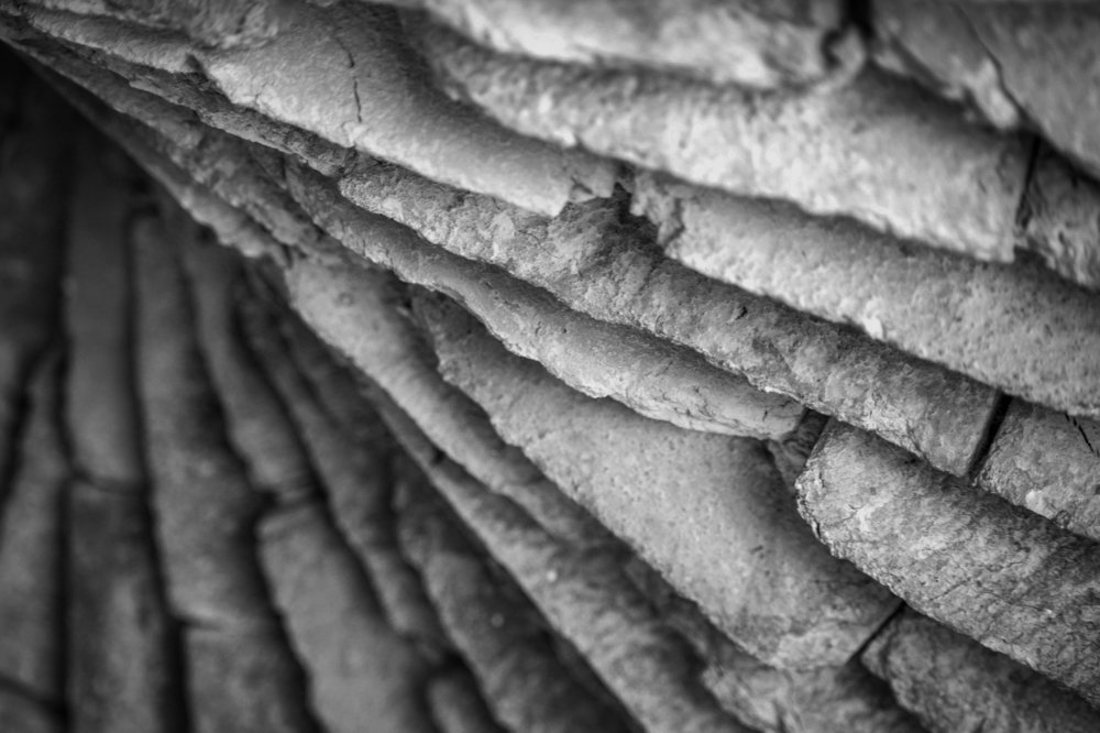 Photograph by Mohammad Paknezhad