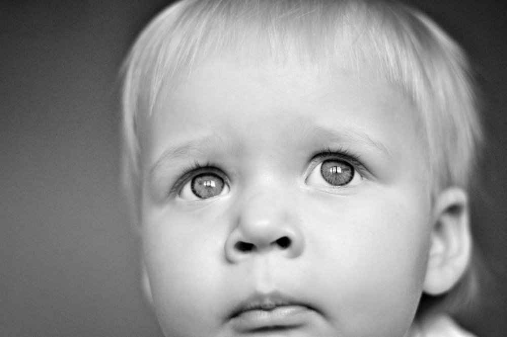 Фотография автора Роман Володащик