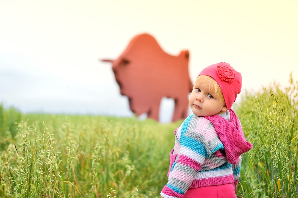 Фотография автора Роман Володащик