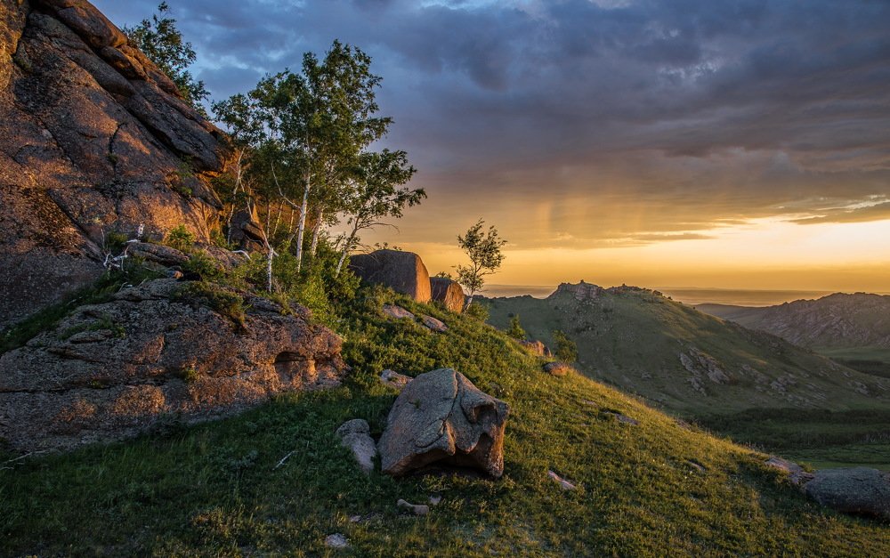 На закатном солнышке.
