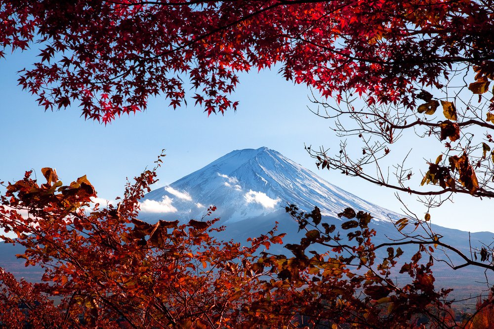 Photograph by Александр Игнатьев