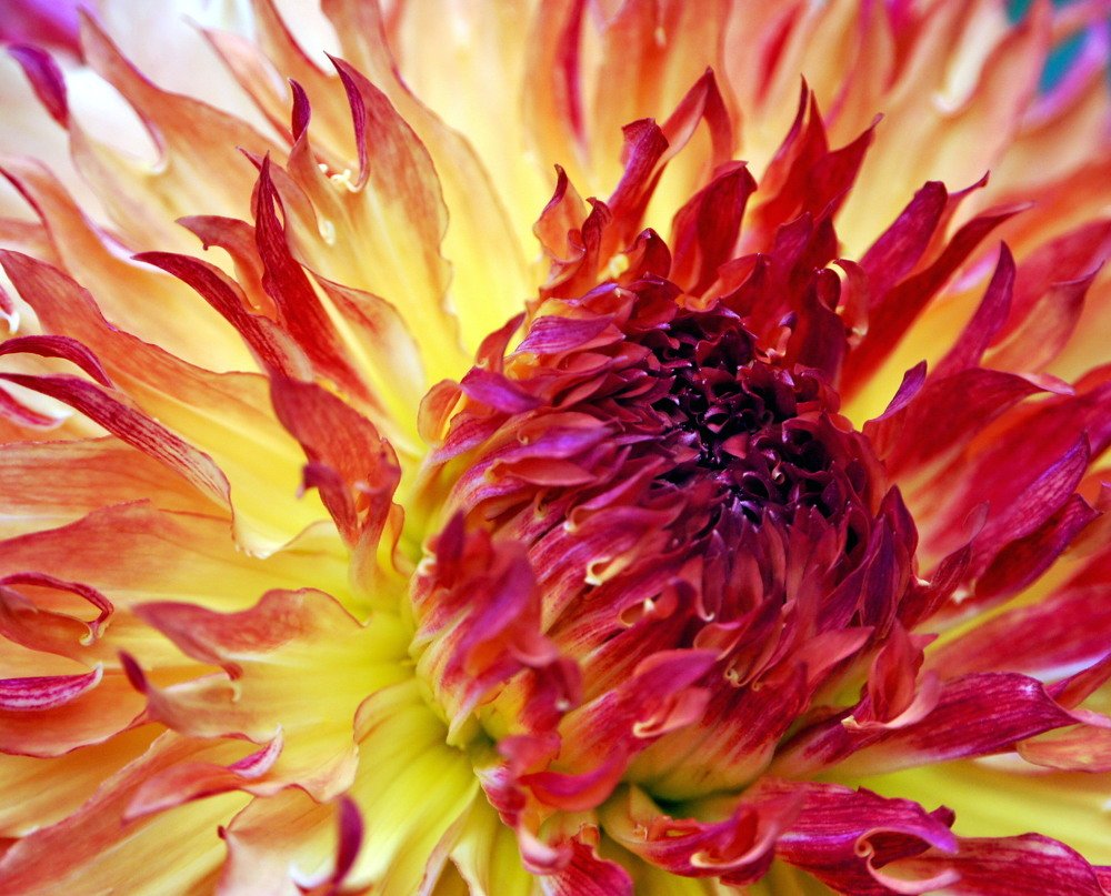 Фотография автора Tatyana Markova