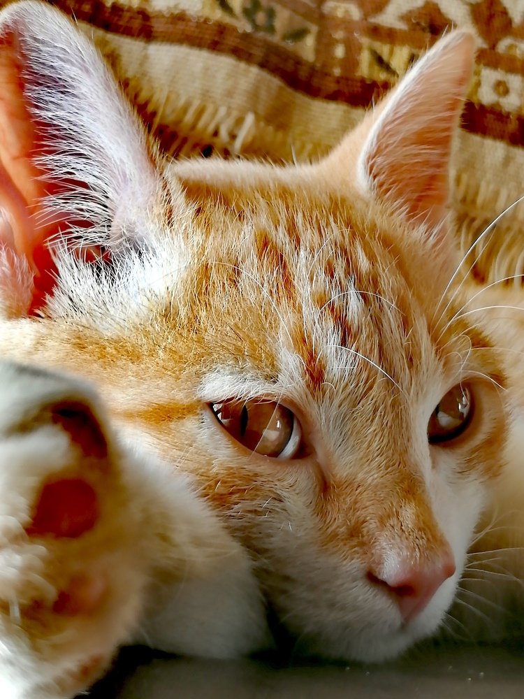 Photograph by Ahmed Bekhit