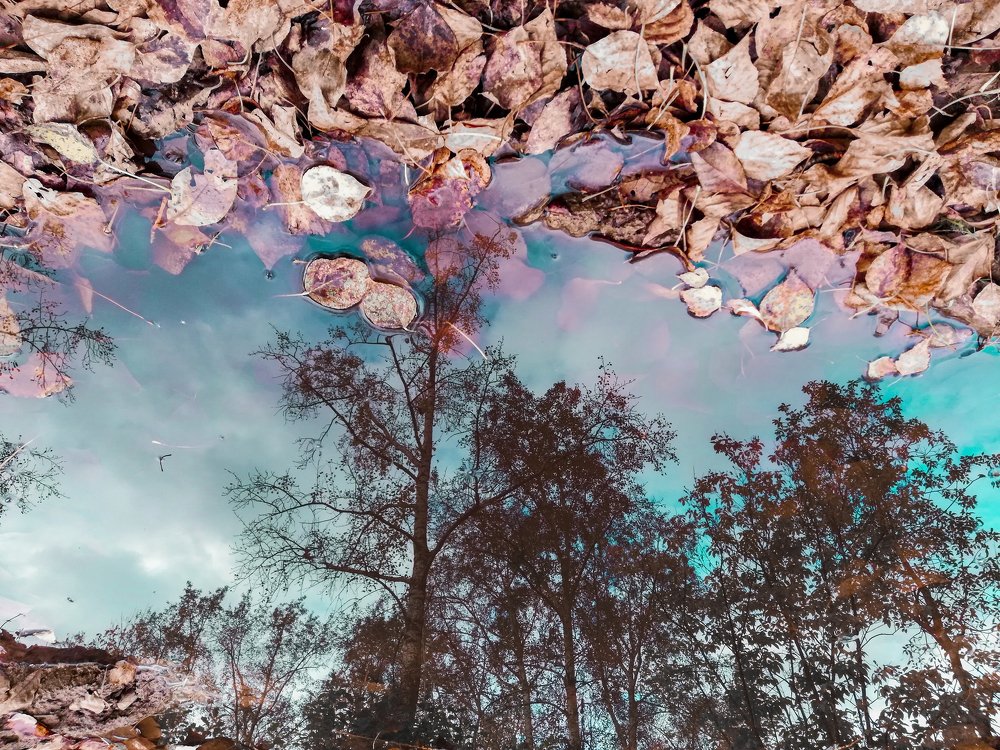 Photograph by Кузьма Чупин