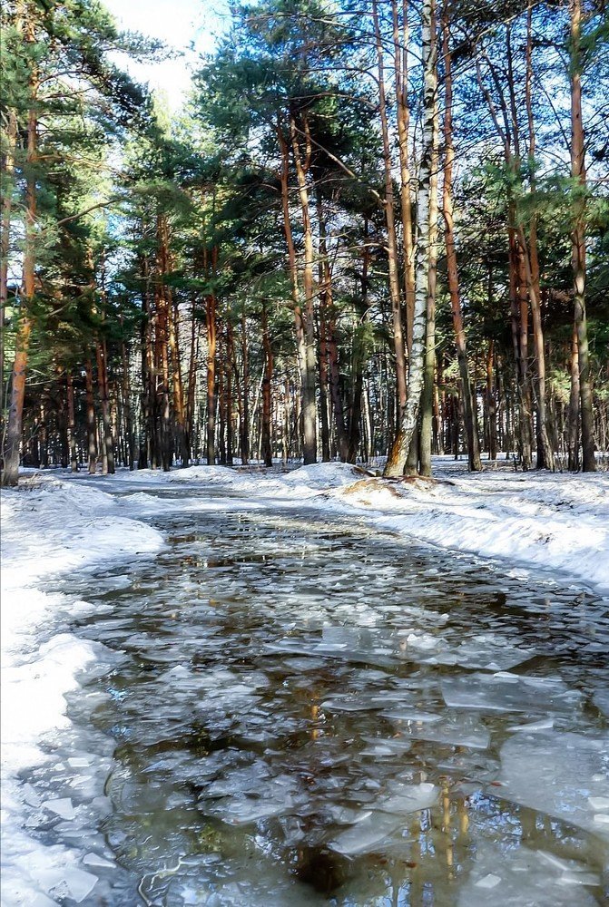 Снег тает.