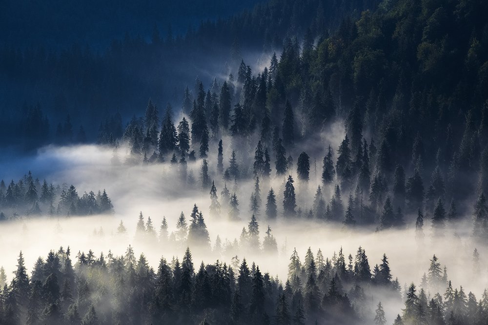 Photograph by Mihail-Bogdan Chirobocea