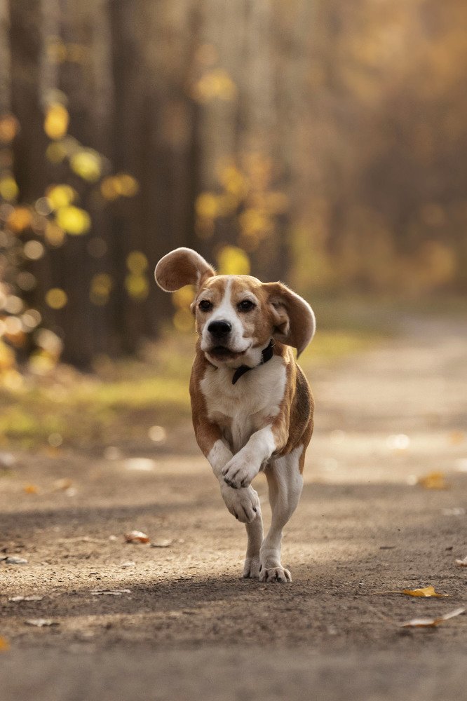 Photograph by ИРЕНА Федорова