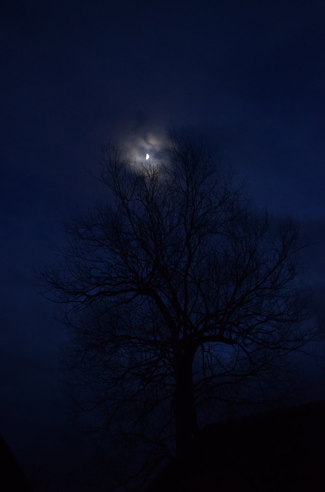 Photograph by Николай Соколовский