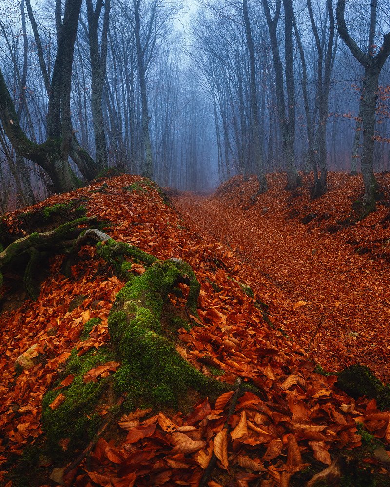 Photograph by Oleg Feofanov