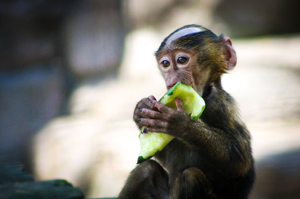 Photograph by Stephen