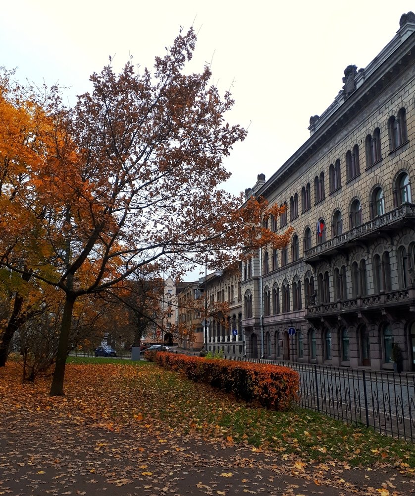 Photograph by Екатерина Лернер