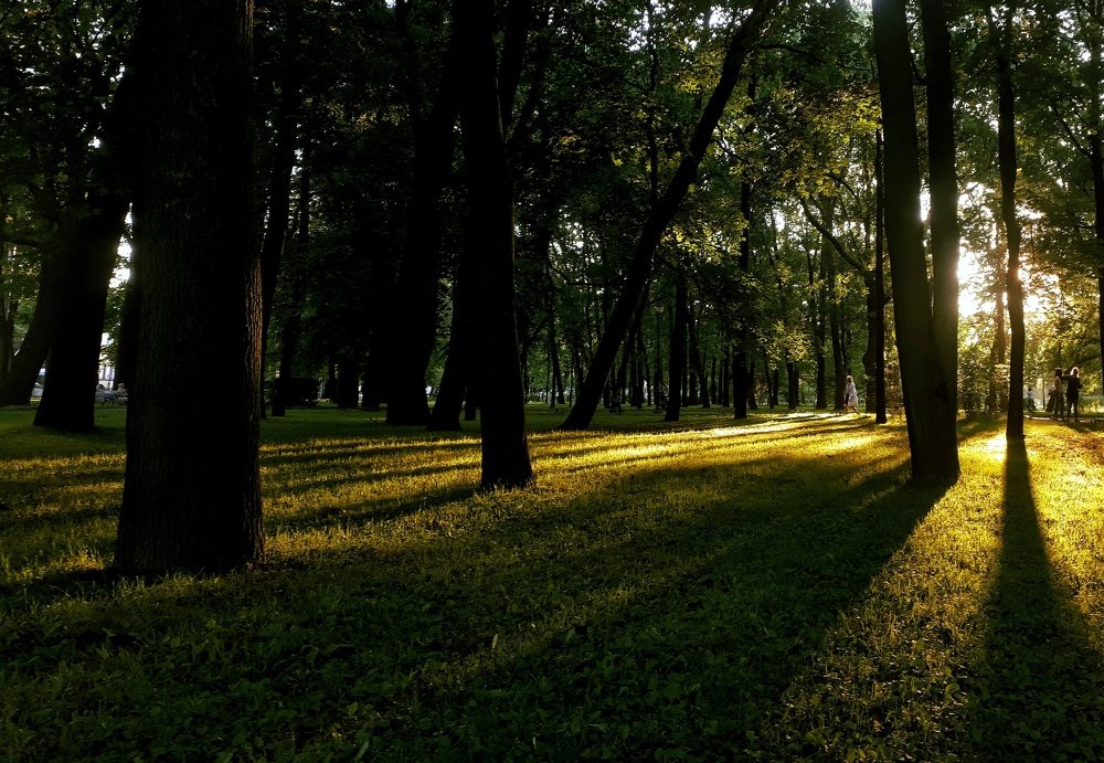 Photograph by Екатерина Лернер