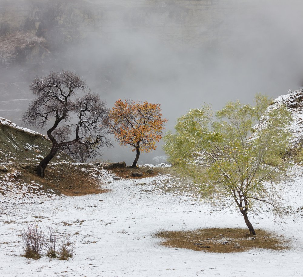 Photograph by Рустам Рамазанов