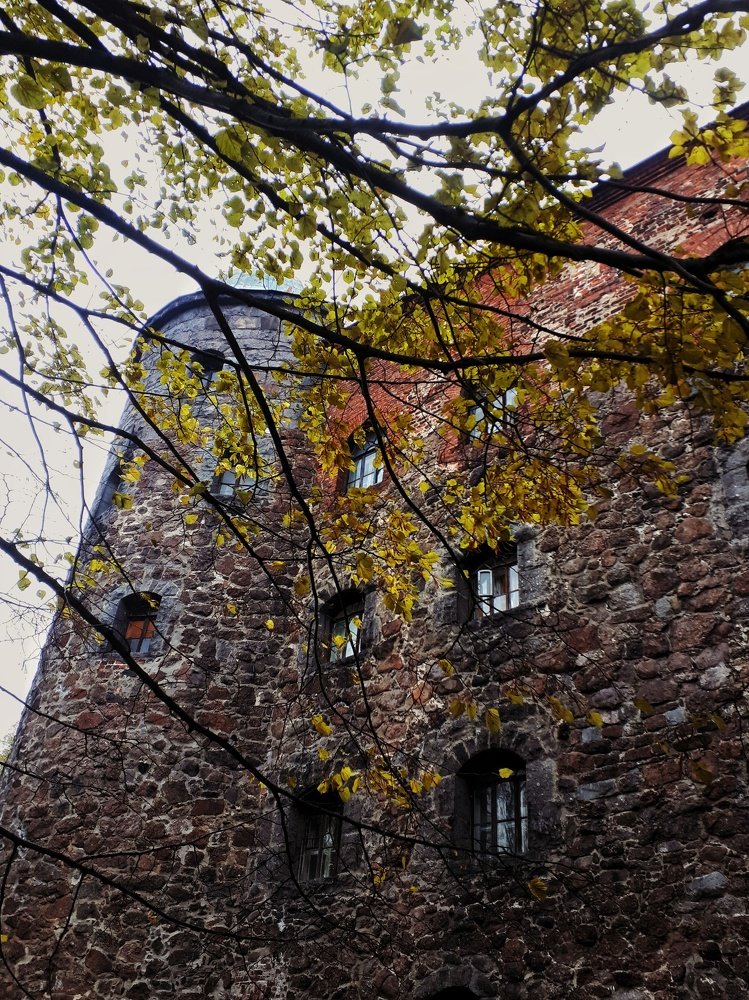Photograph by Екатерина Лернер