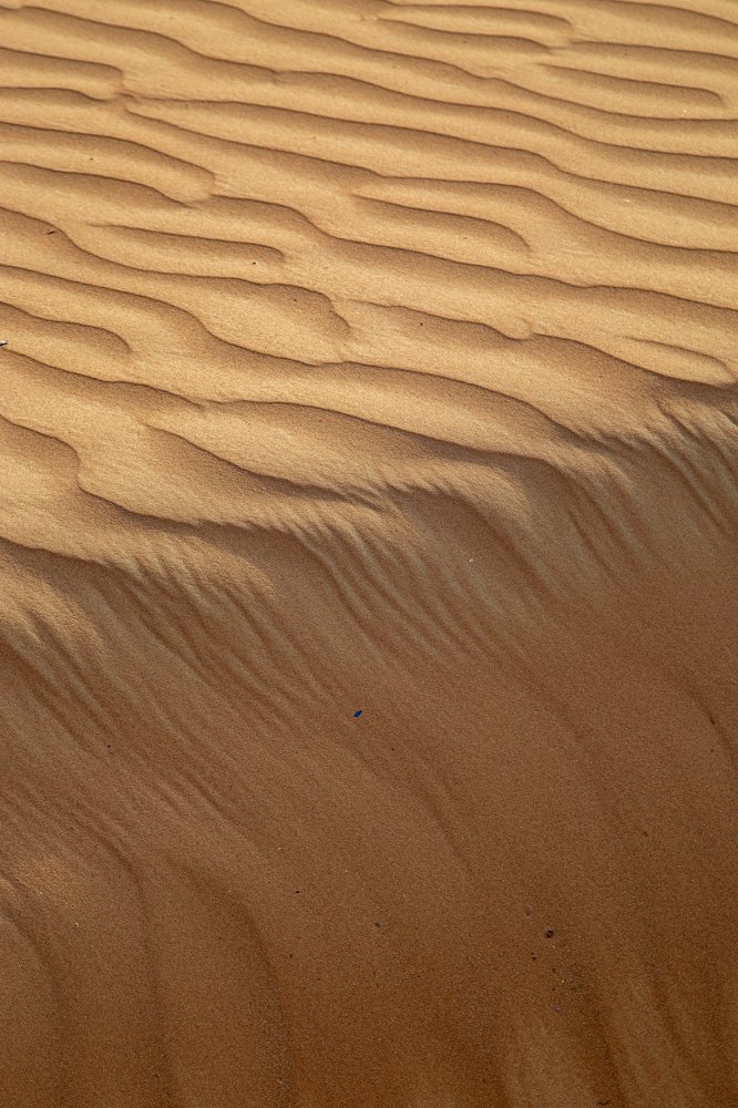 Photograph by Юлия Карась