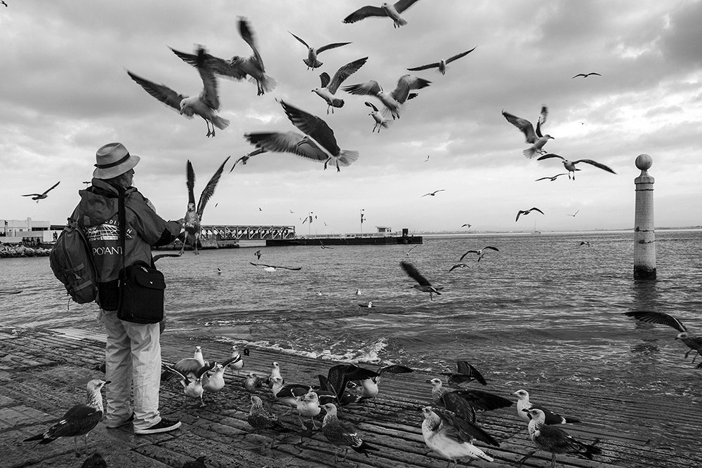 The lord of the  angels