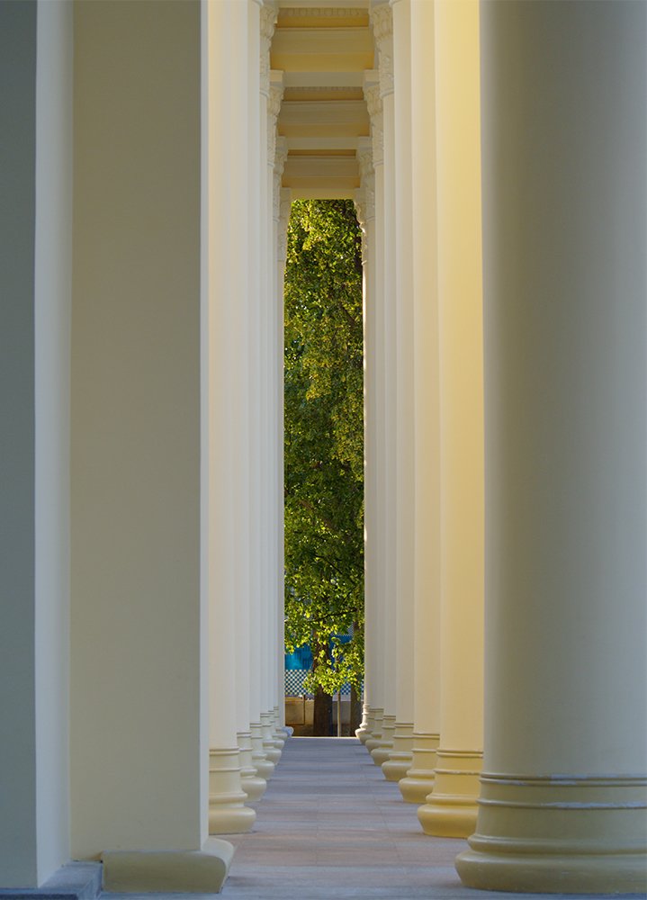 Photograph by 