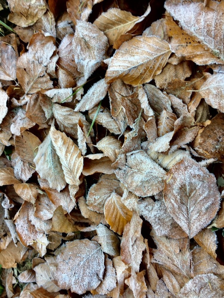 Photograph by Елена Дзюбак