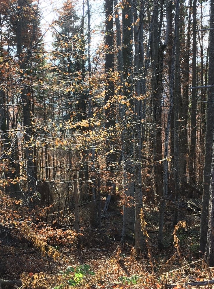 Photograph by Елена Дзюбак