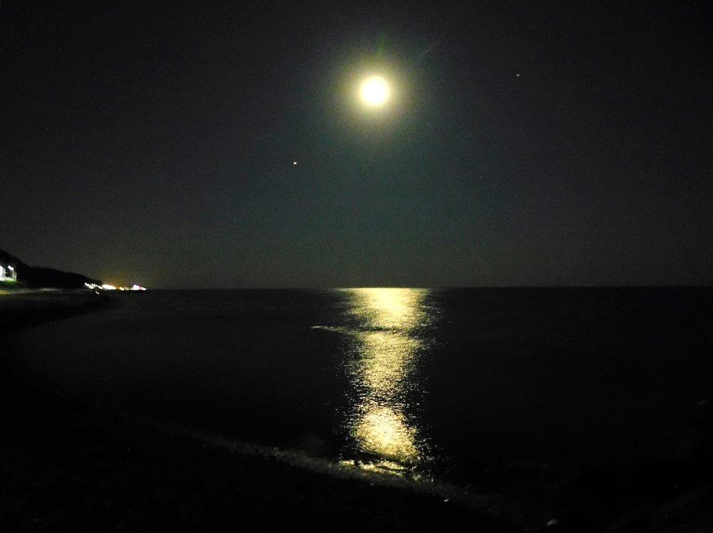 Photograph by Светлана Карпенко
