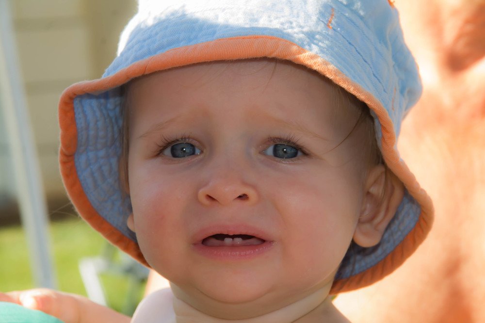 Photograph by Germans Alenins