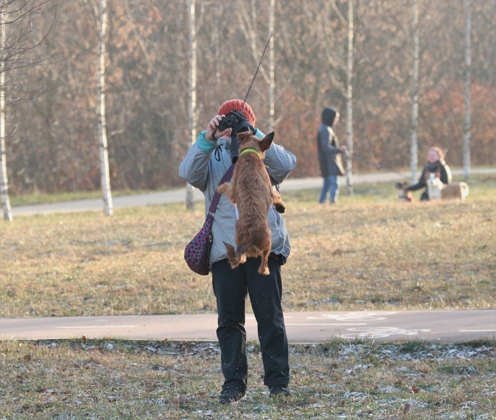 Photograph by Ирина Толмачева