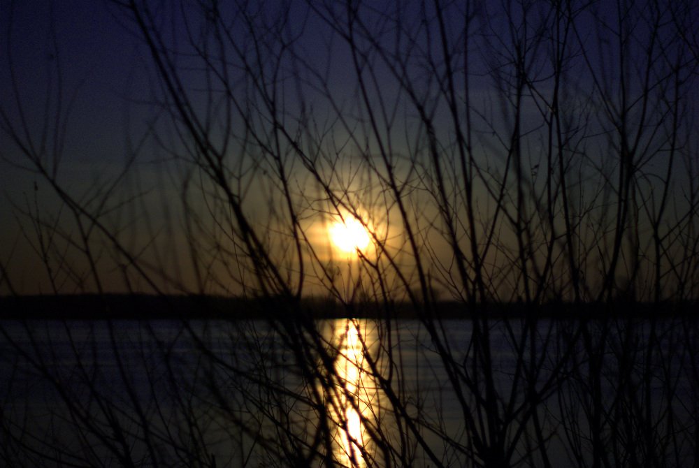 Photograph by Алексей Акулин