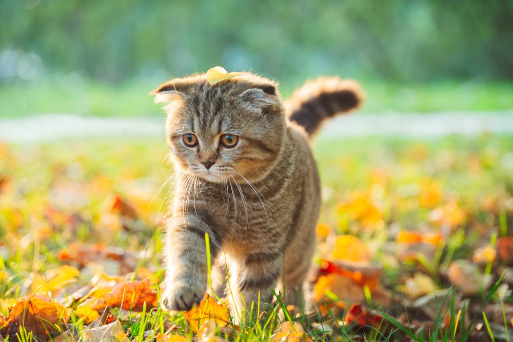 Photograph by Анастасия Мельник