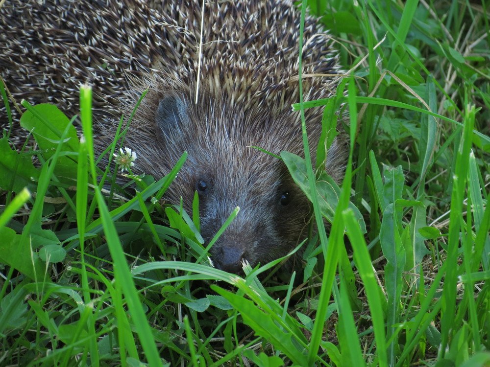 Photograph by Иван Скрипкин