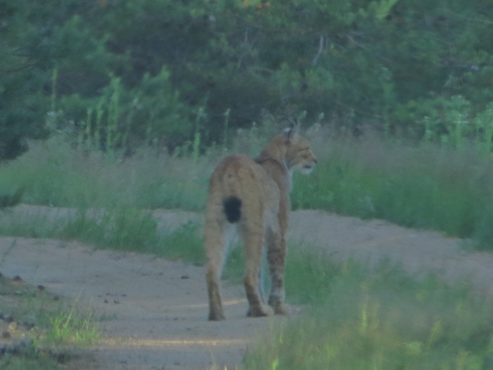 Photograph by Иван Скрипкин