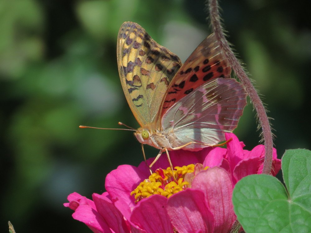 Photograph by Иван Скрипкин