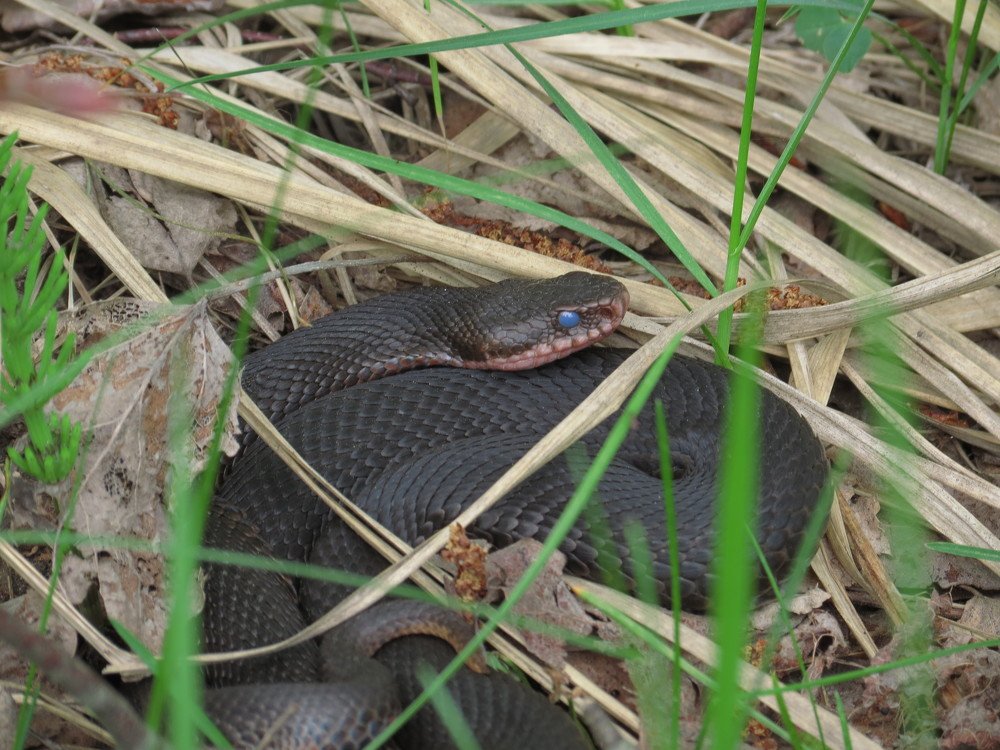 Photograph by Иван Скрипкин