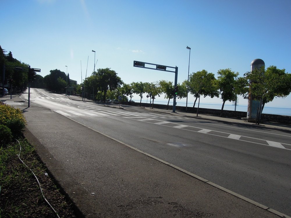 Photo #3950035