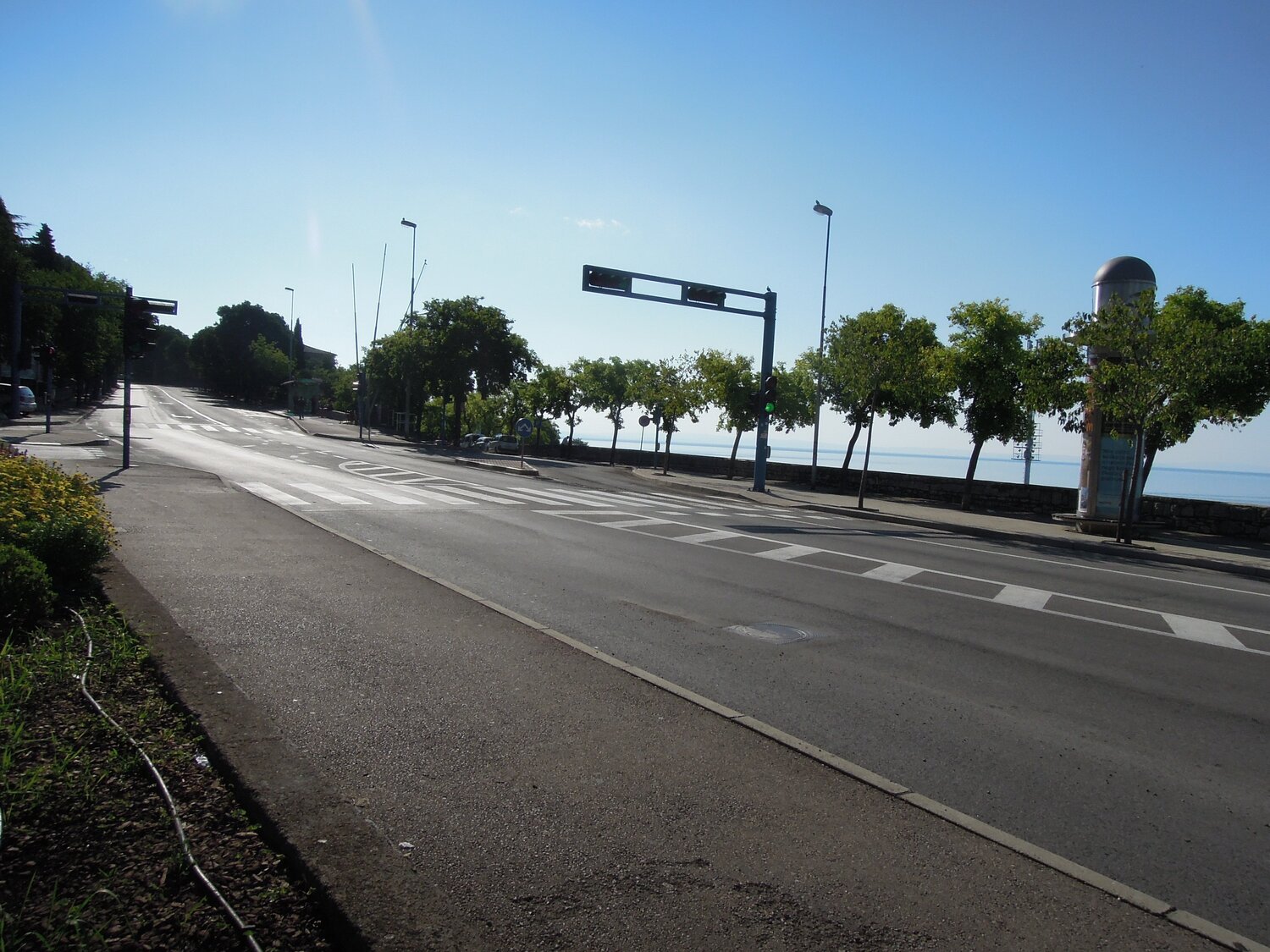 Photo #3950035