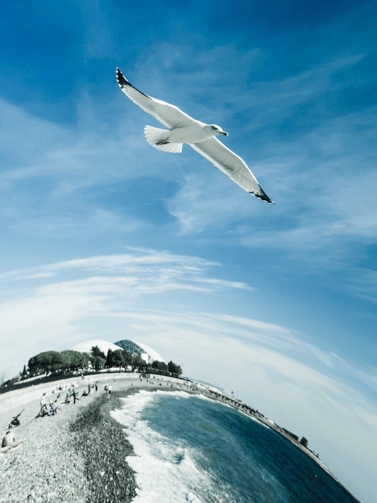 Photograph by Татьяна Чернышова