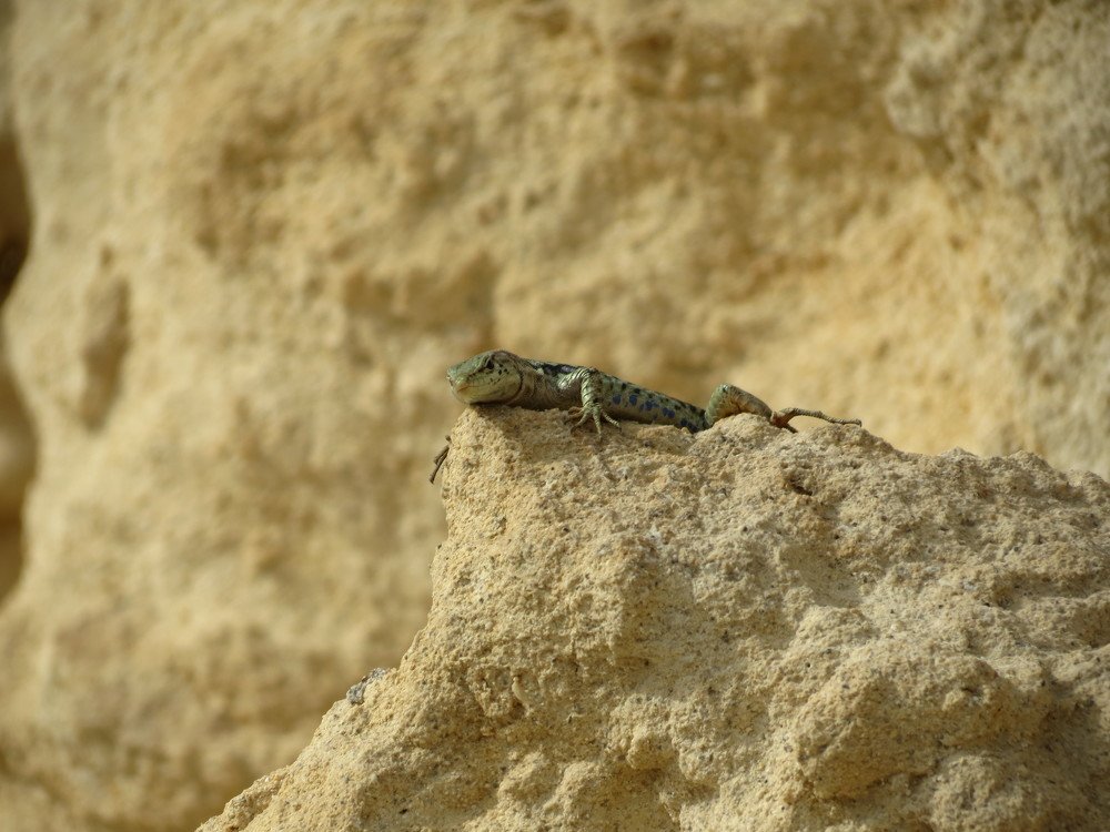 Photograph by Иван Скрипкин