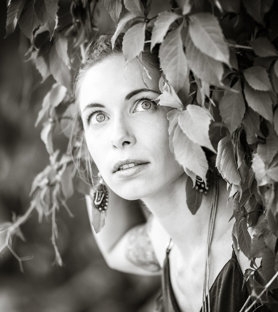 Photo #3950322