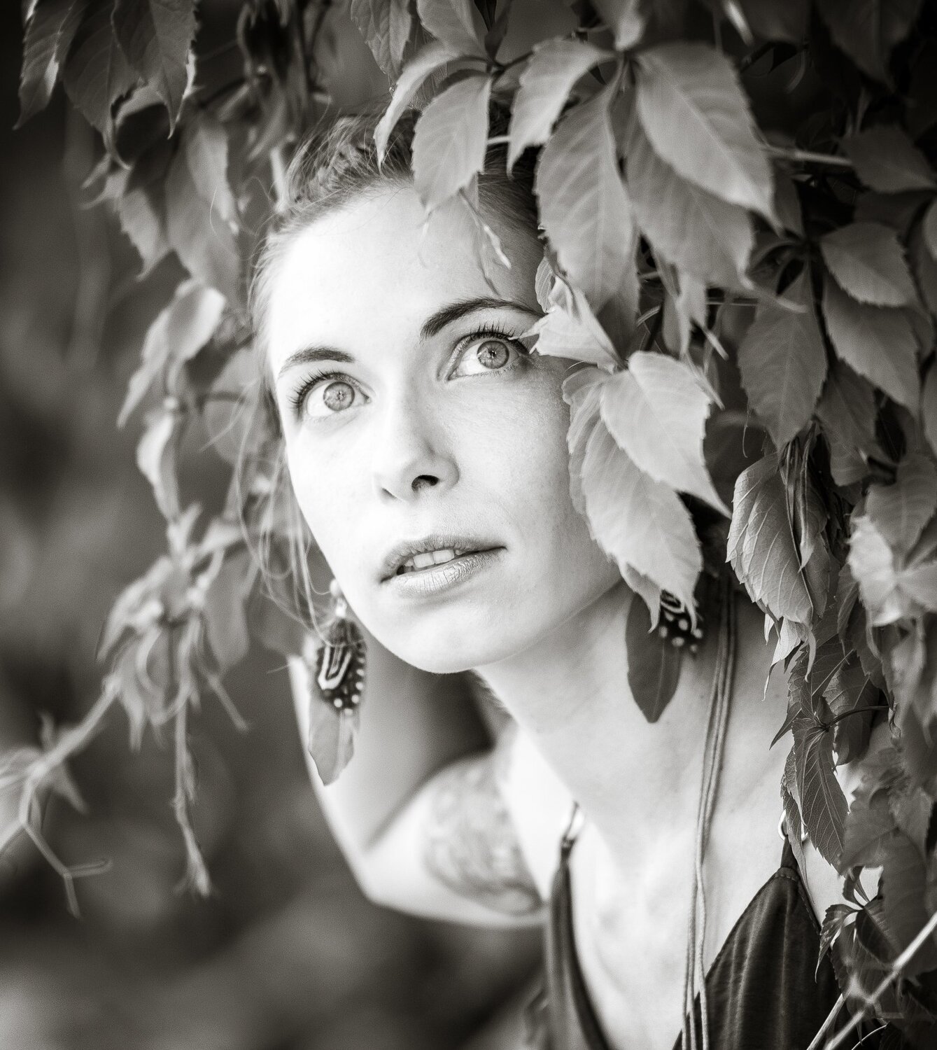 Photo #3950322
