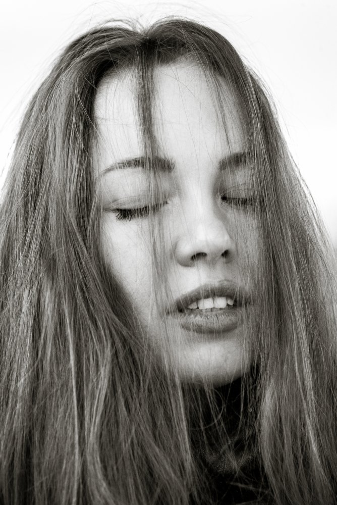 Photo #3950330