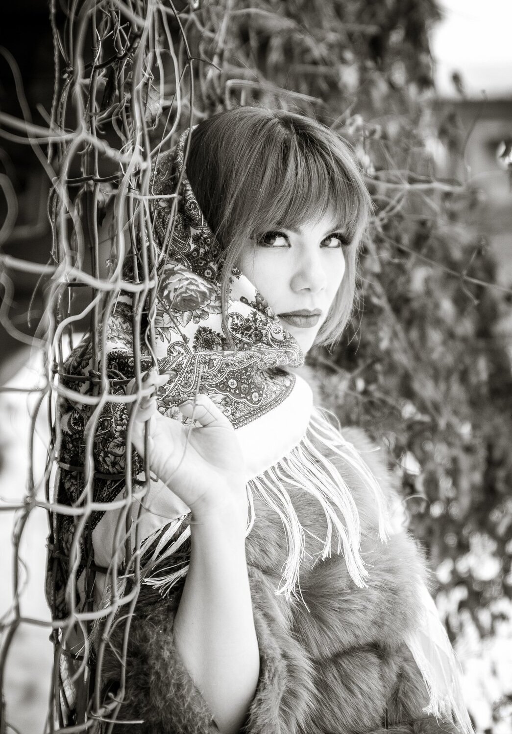 Photo #3950340