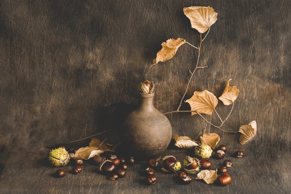 Photograph by Ольга Халабузарь