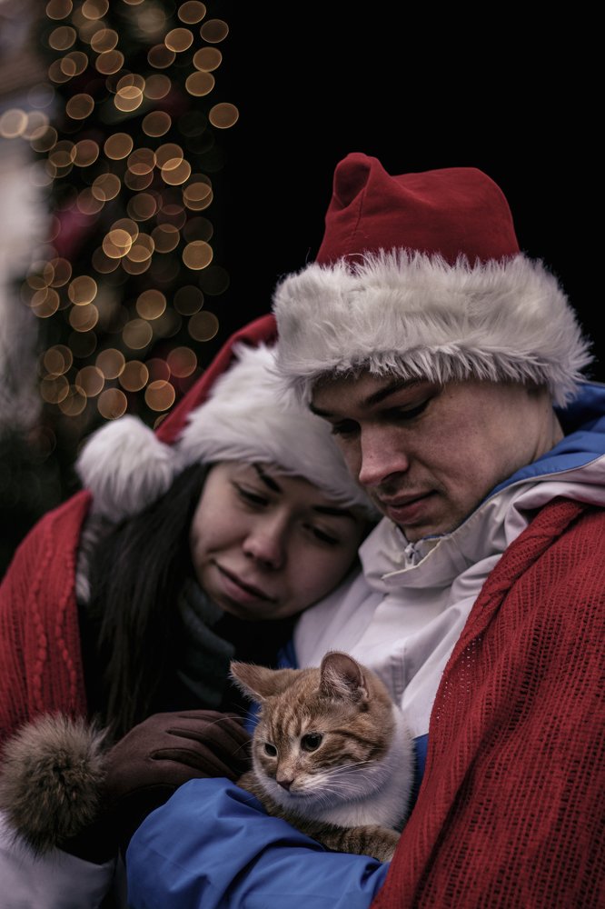 Photograph by Sandra Ko