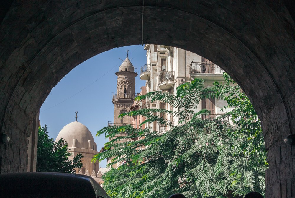 Photograph by Mohamed Abdelzaher