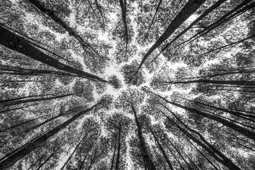 Photograph by Catherine Chong