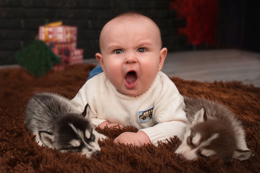 Photograph by Ольга Ли