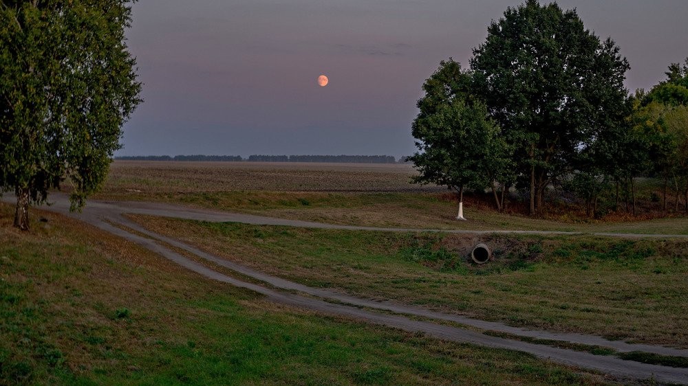 Photograph by Александр Дергаусов